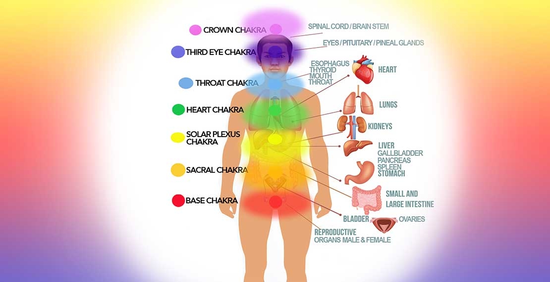  A diagram of the body's energy system and chakras, with the crown chakra at the top of the head and the base chakra at the base of the spine.